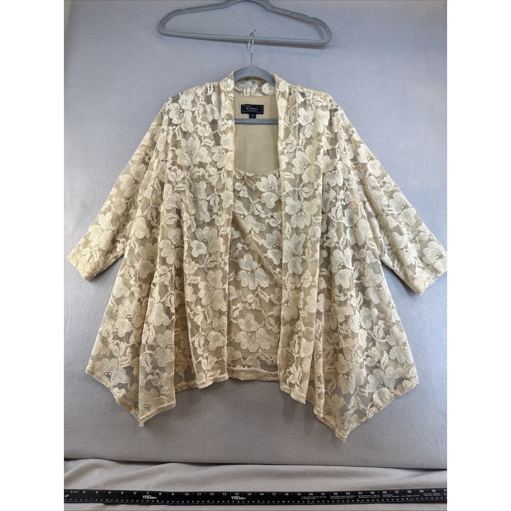 Collection Dressbarn Blouse Plus 2X, Lace, Longsleeve Lace, Casual
